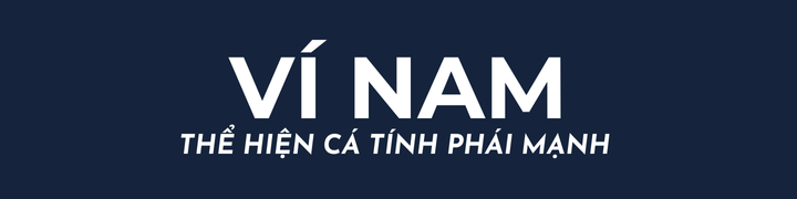 Ví nam